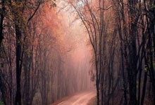 日本球队突然宣布退役：一夜之间球迷的世界崩塌还是新生的序章？