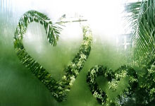 苏格兰队失利，出线形势岌岌可危