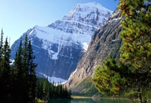 年轻新秀逐渐崭露头角，表现令人期待