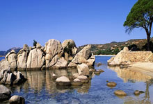 热刺主场胜出，欧冠前景辉煌