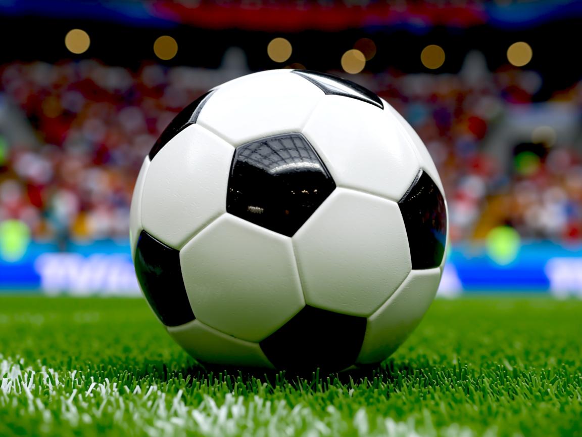 星空体育在线-CBA联盟强化青训基地建设布局全国重点城市,cba青训队是什么 第2张