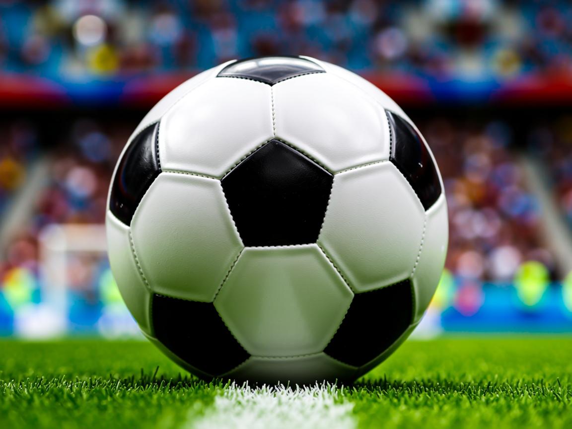 星空体育全站app-“亲子互动!牛仔3K亲子跑在香港开跑” 第2张